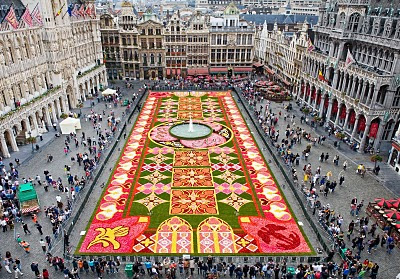 Brussels Flower Carpet; Flower Carpet; Flower Carpet Brussels