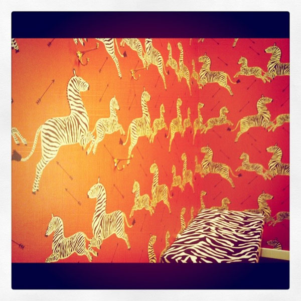 kate spade zebra wallpaper in dressing rooms