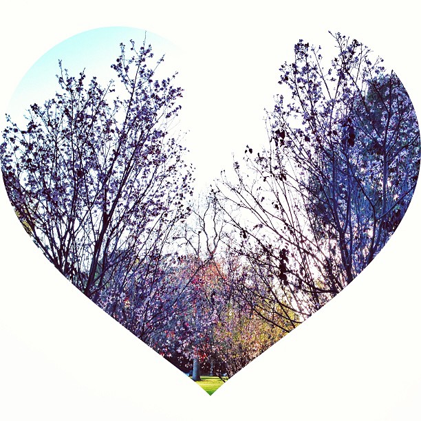 how to make a cute heart on instagram?