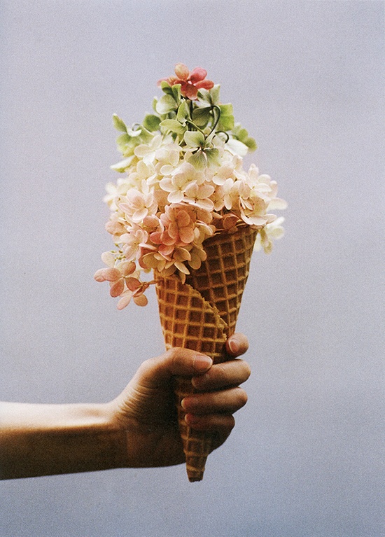 flower-cone