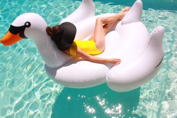 swan pool float; swan float; giant swan pool float
