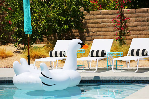 where to find a giant swan pool float