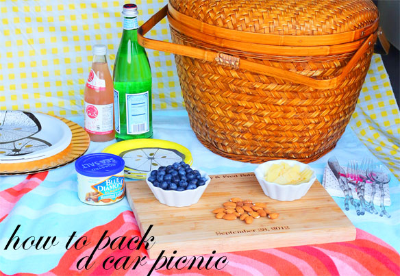 how to pack a picnic; how to pack a car picnic