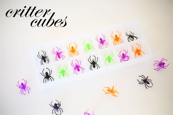 critter cubes; critter ice cubes; fun ice cube ideas; spider ice cubes; how to make cool ice cubes; fun ice cube ideas for drinks