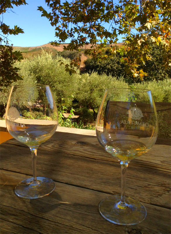 demetria winery los olivos; best wineries in los olivos; where to go wine tasting in los olivos