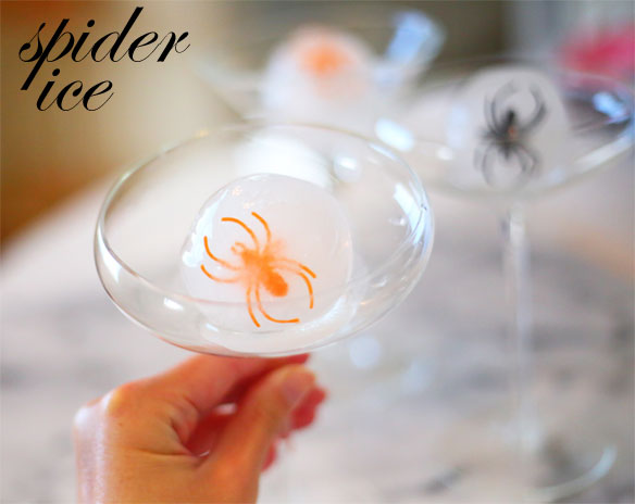 spider ice cubes; how to make cool ice cubes; fun ice cube ideas for drinks