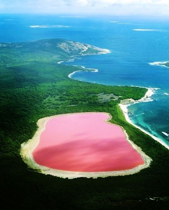 pink lake australia