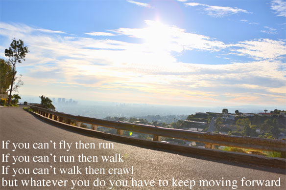 if you cant fly then run, martin luther king, jr