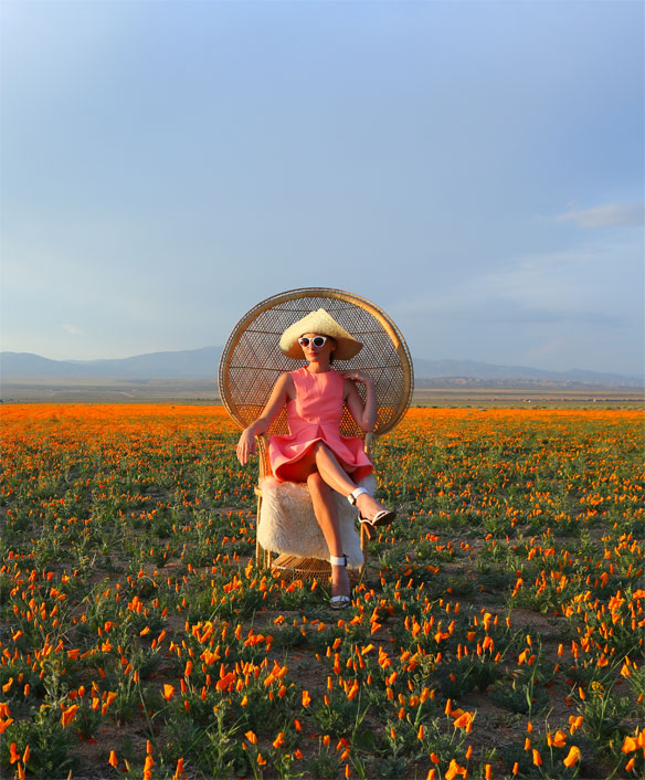 ca poppy fields; where to find poppy fields in california