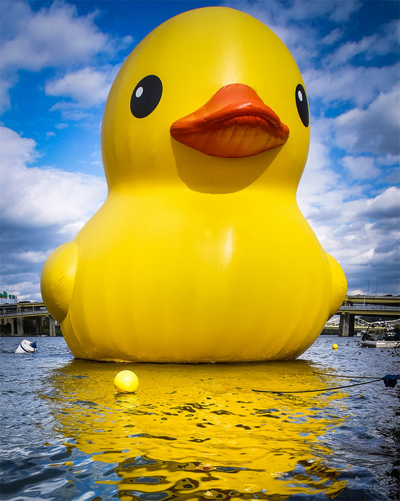 giant rubber duck