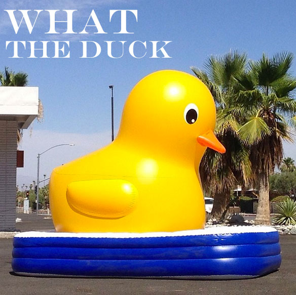giant inflatable duck palm springs dutch artist giant rubber duck