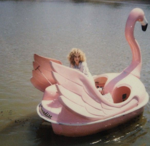 swan sweater; swan pool float; swan float; swan clothing; swans are the new black; swans are the new flamingos; swan ring; swan tops; swan floats; swan trend