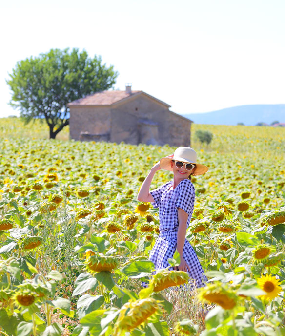 provence sunflower fields | kelly golightly