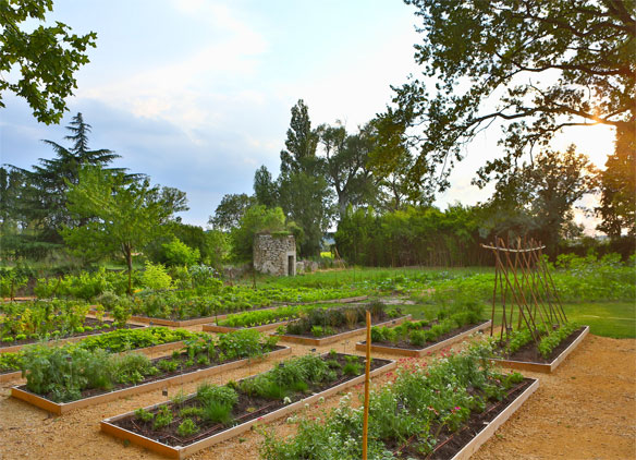 organic garden at chateau de massillan