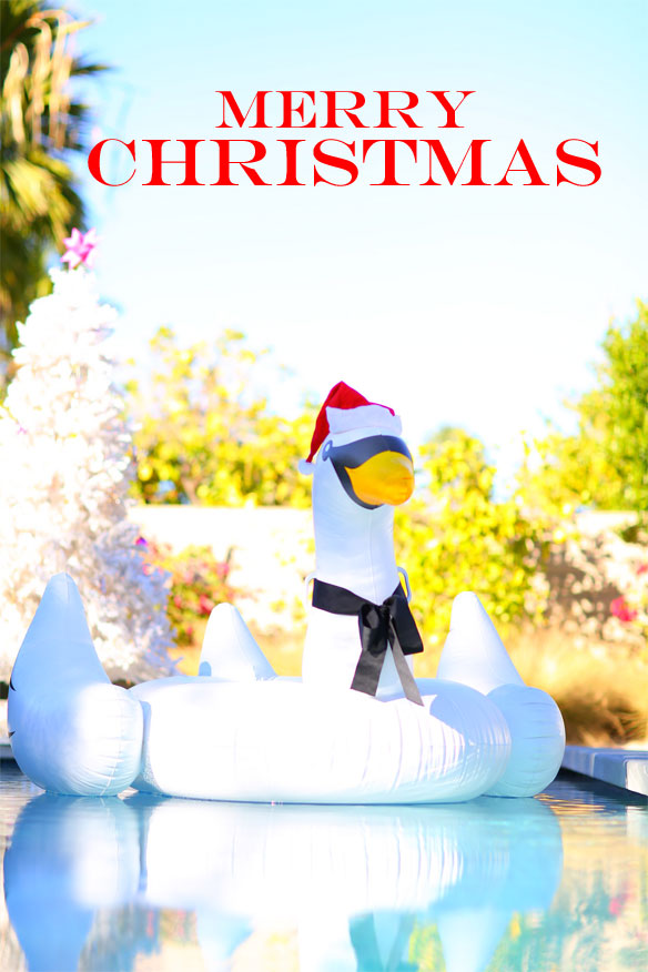 merry {palm springs} christmas | kelly golightly 