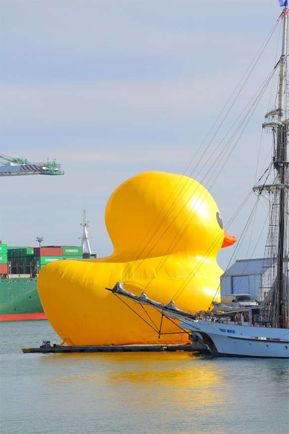 Giant Rubber Ducky | KELLY GOLIGHTLY