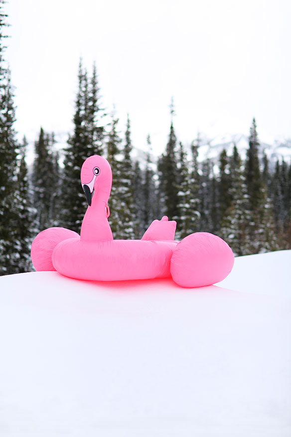 Flamingo Pool Float | KELLY GOLIGHTLY