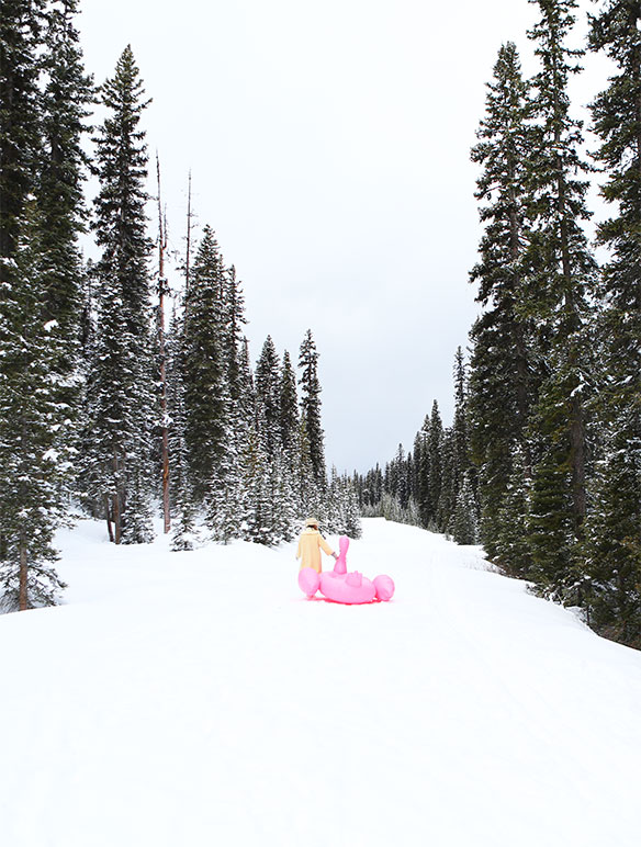 Pool Flamingo in the Snow | KELLY GOLIGHTLY
