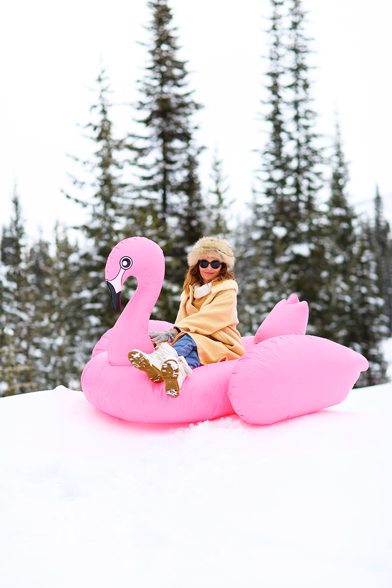 Kelly Golightly sits atop a pink flamingo pool float in the snow, aka a snow bird.