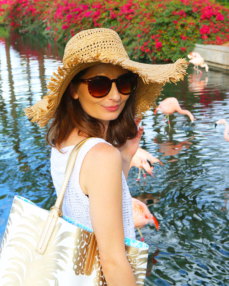 Where To See Real Flamingos in Palm Springs #kellygolightly