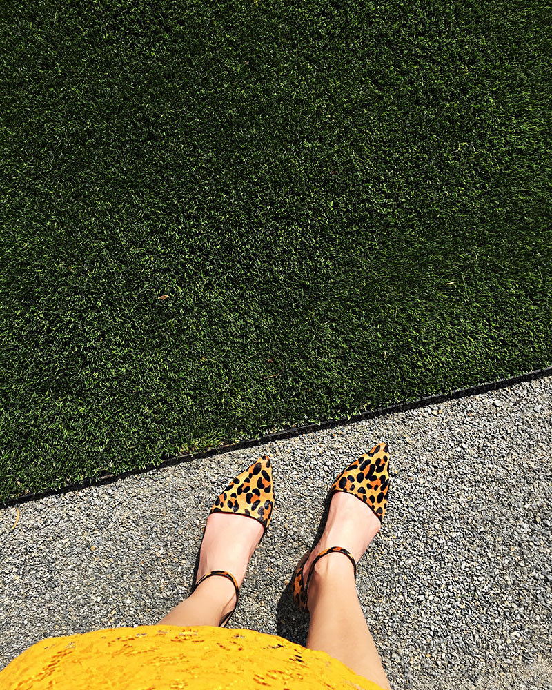 Colorful Fashion Blogger Kelly Golightly wears Marigold/Ochre Dress + Leopard Shoes for fall in Palm Springs.