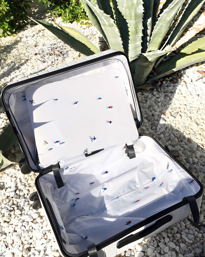 Best Luggage: Gray Malin x Away Suitcase