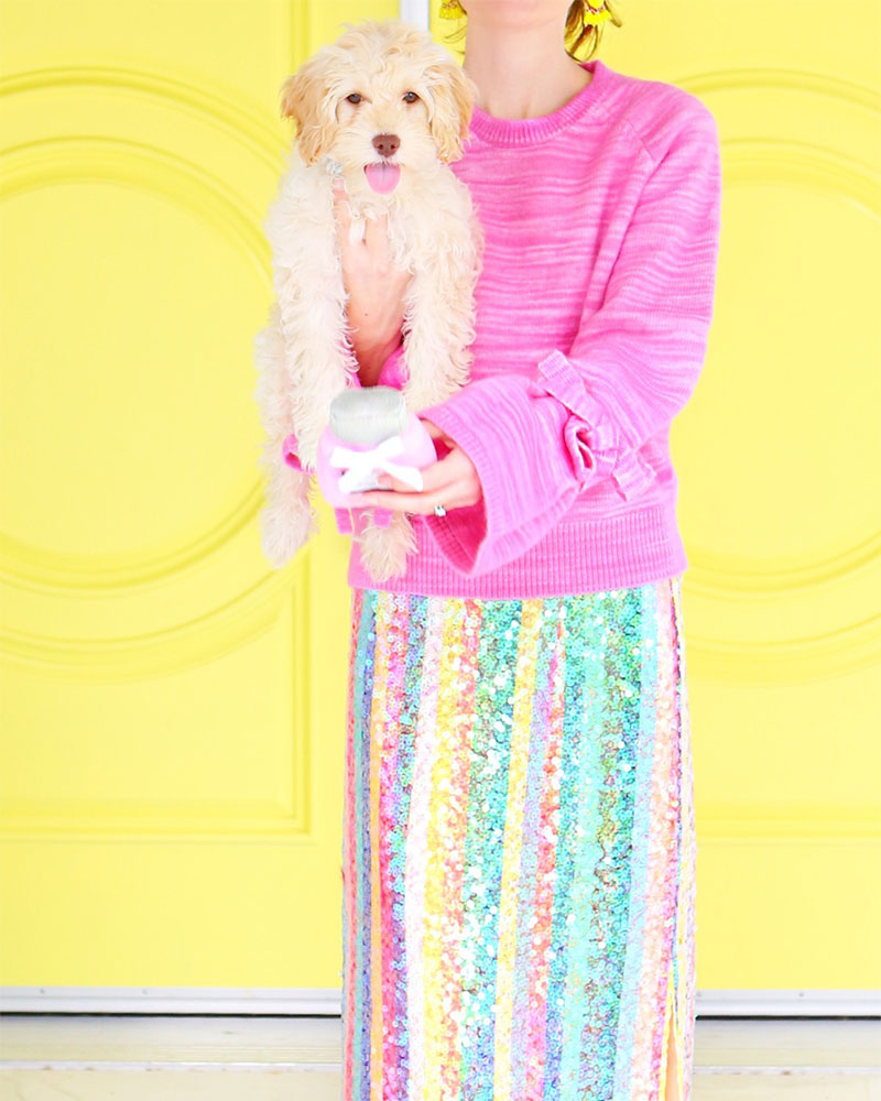Cutest Dogs of Instagram: Kelly Golightly's adorable cockapoo Odee Golightly #cockapoo #kellygolightly 