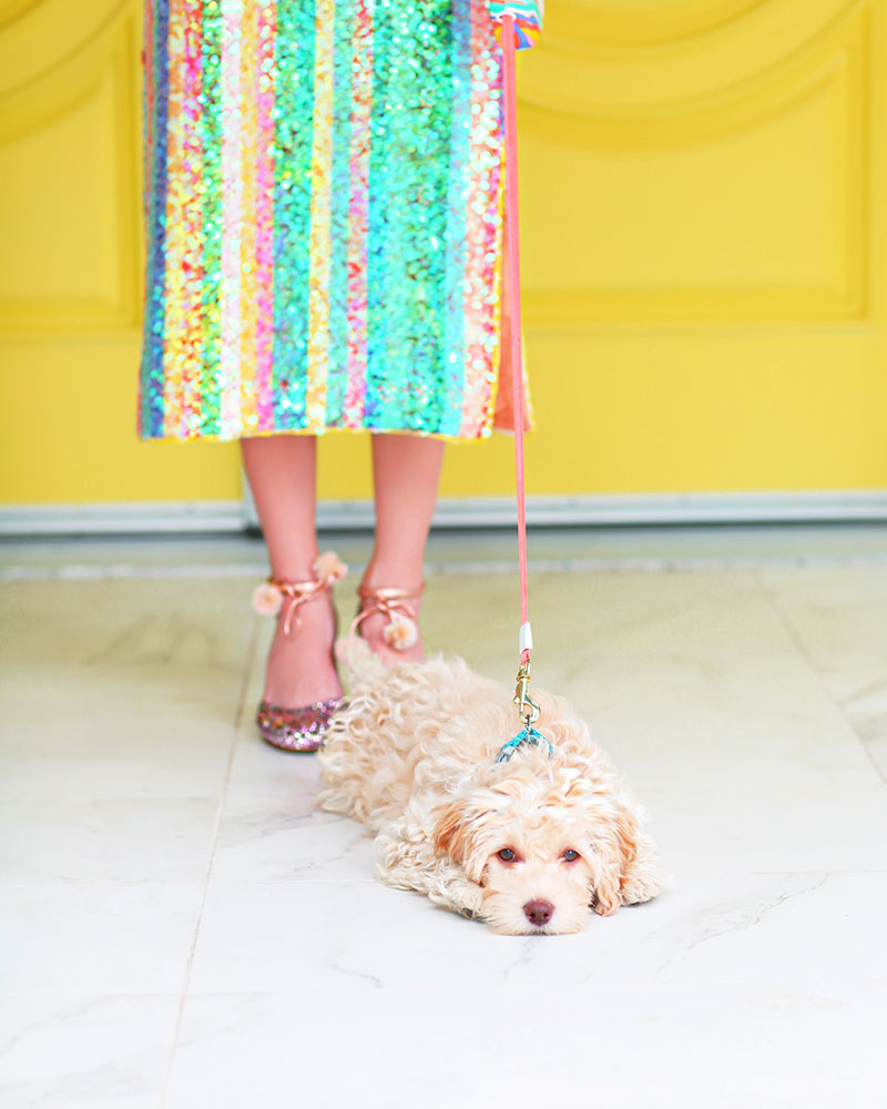 Cutest Blogger Dogs: Kelly Golightly's puppy Odee Golightly! #cockapoo #kellygolightly #odeegolightly #yellowdoors #palmsprings #palmspringsdoors