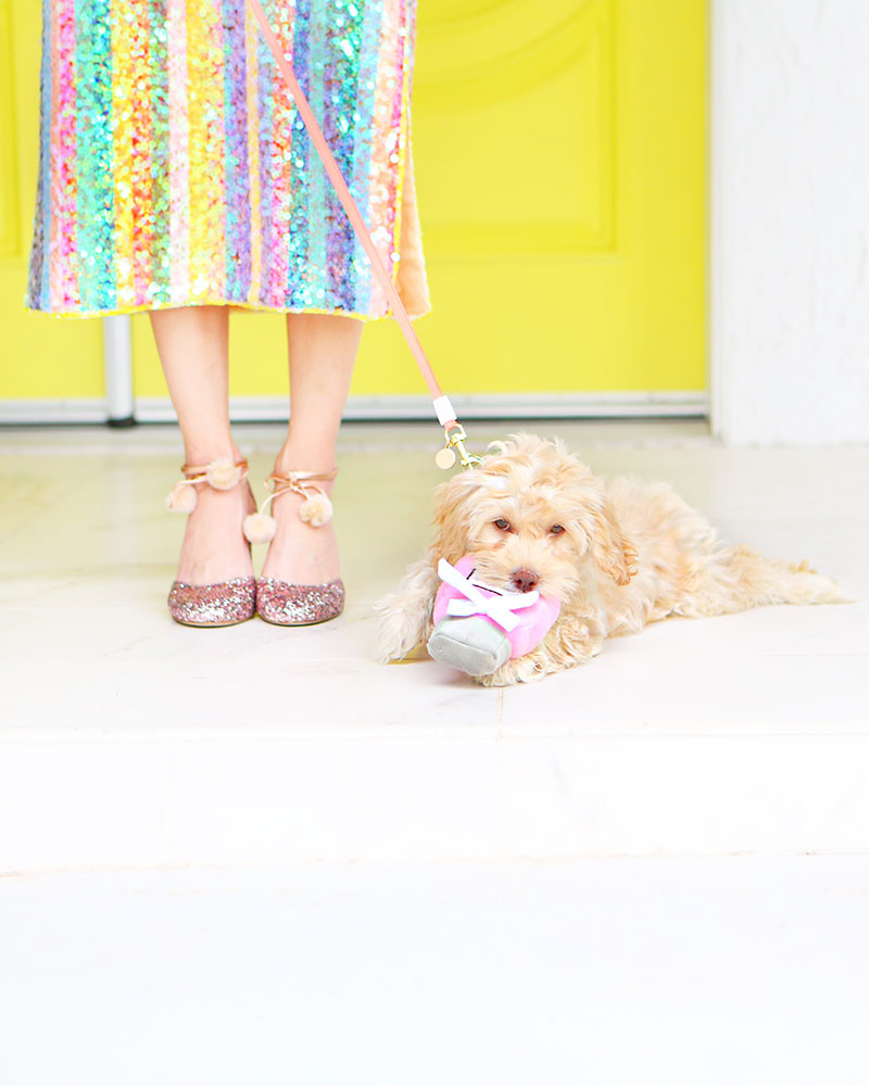 Love these Kate Spade sparkluy shoes... And Odee Golightly loves chewing them! #katespade #cockapoo #yellowdoors #odeegolightly #kellygolightly