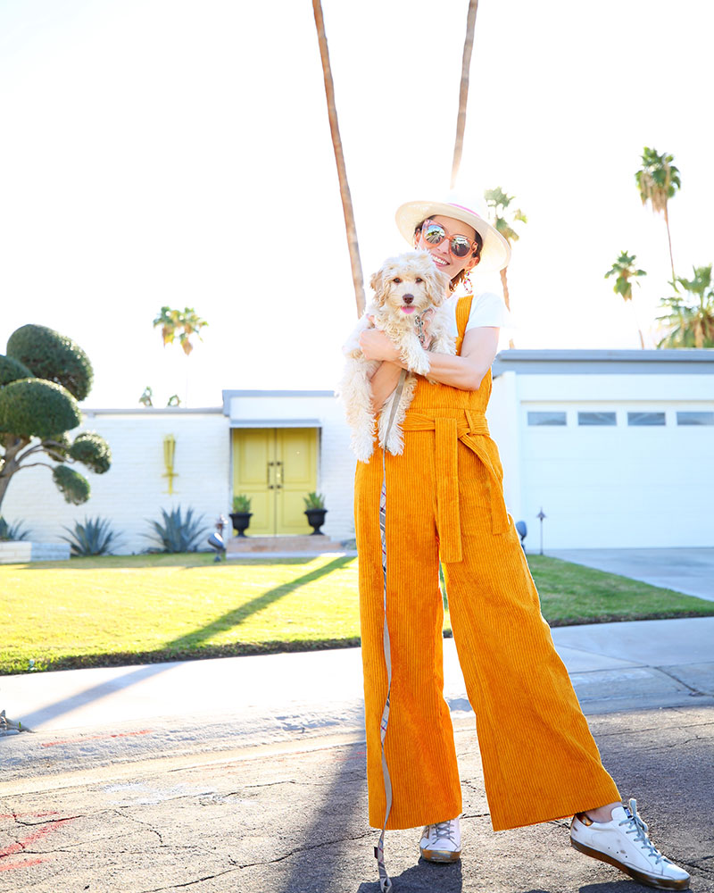 Love this corduroy overalls jumpsuit! #kellygolightly #overalls #jumpsuit #anthropologie #marahoffman #palmsprings #cockapoo