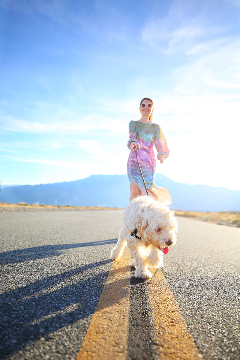 Bloggers With Dogs: Kelly Golightly + her cockapoo Odee Golightly frolicking in Palm Springs. Kelly wears an ombre rainbow sequin dress by RIXO London.