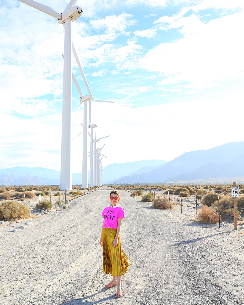 Kelly Golightly pairs a pink J.Crew tshirt with a gold pleated skirt in Palm Springs, CA.