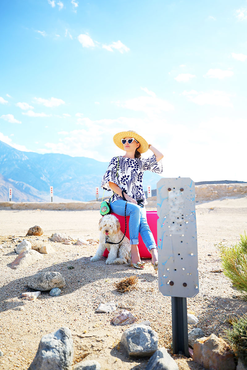 Escape to the Palm Springs Windmill Fields | Kelly Golightly