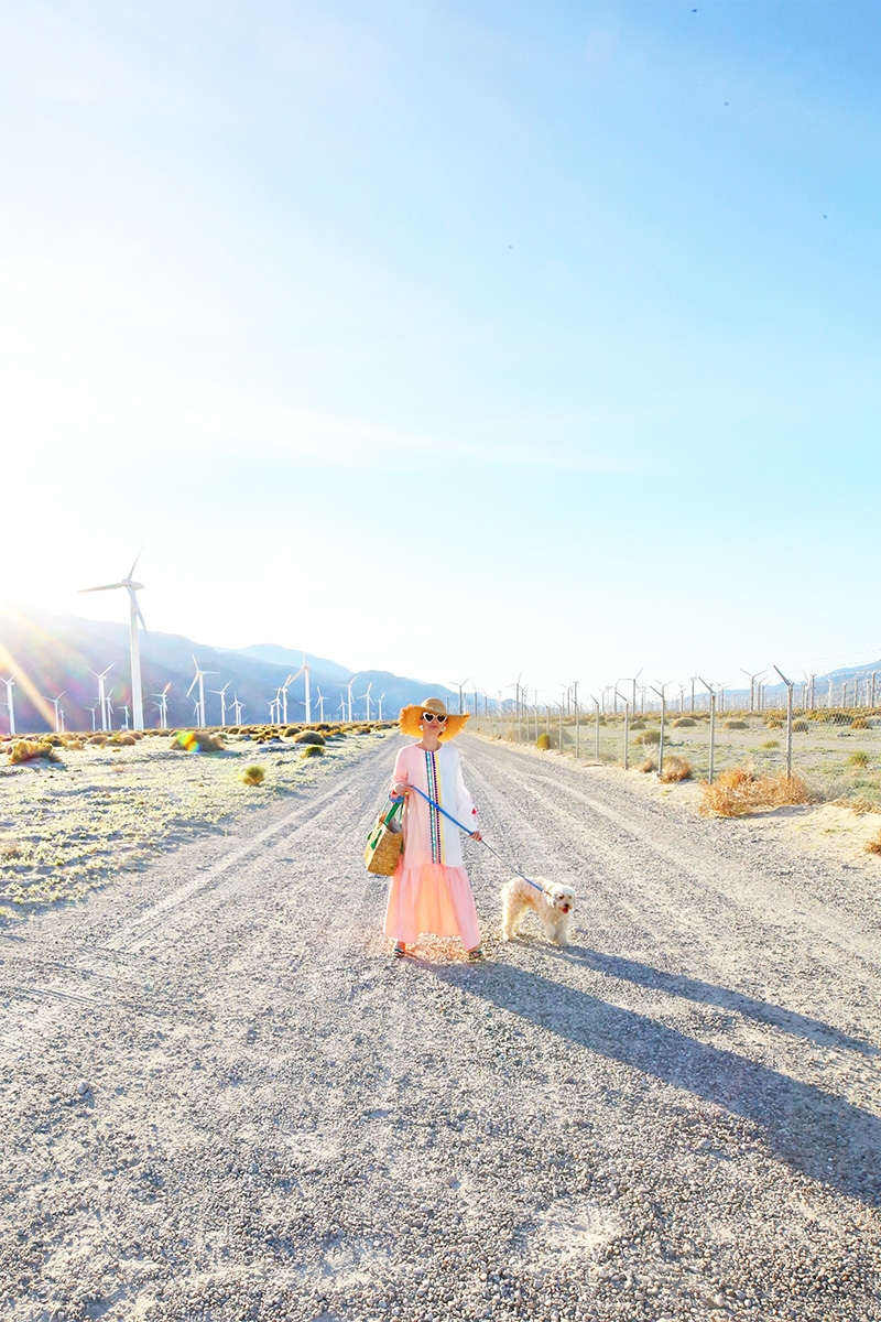 Best Photoshoot Locations in Palm Springs | Kelly Golightly