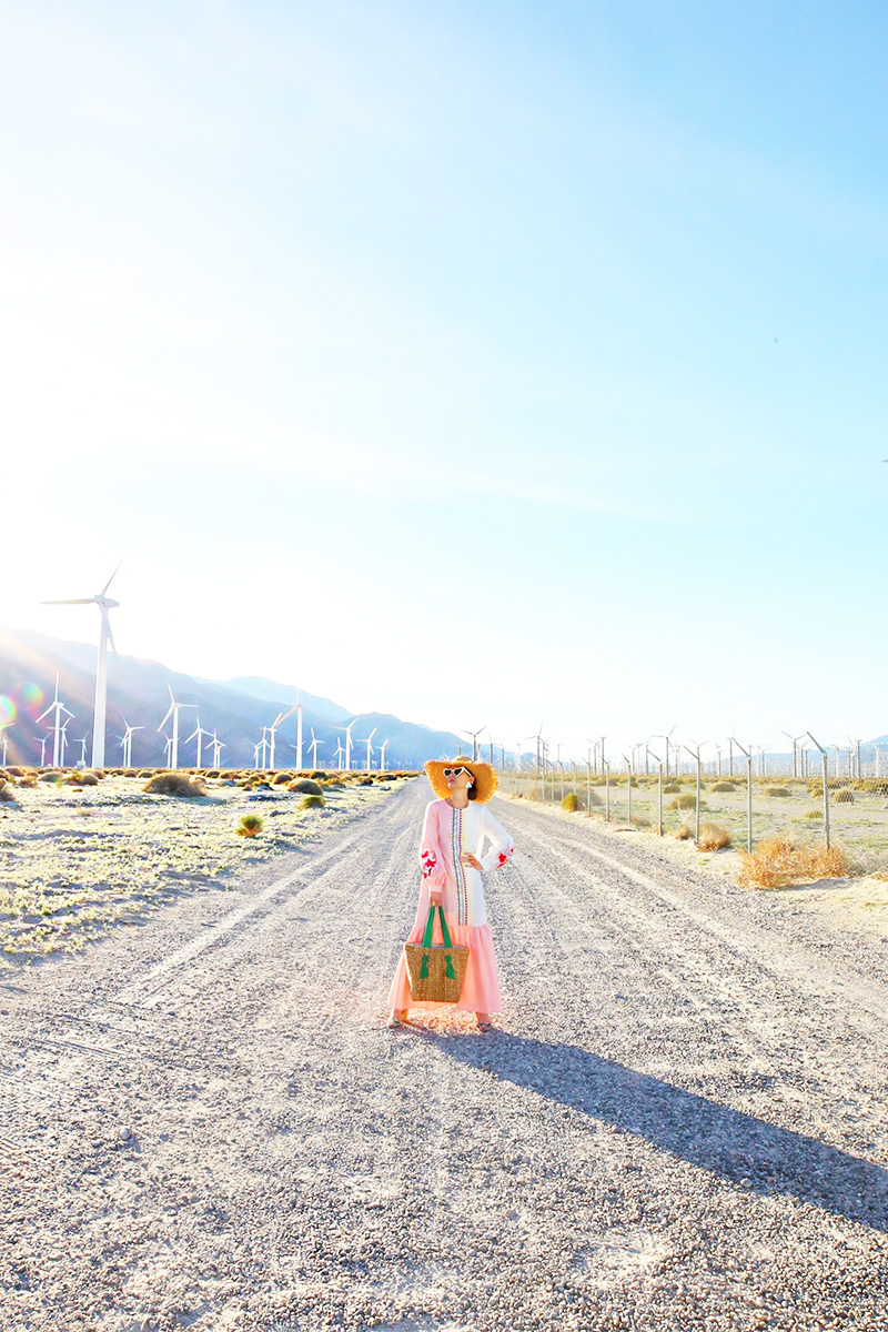 Palm Springs Windmills | Kelly Golightly