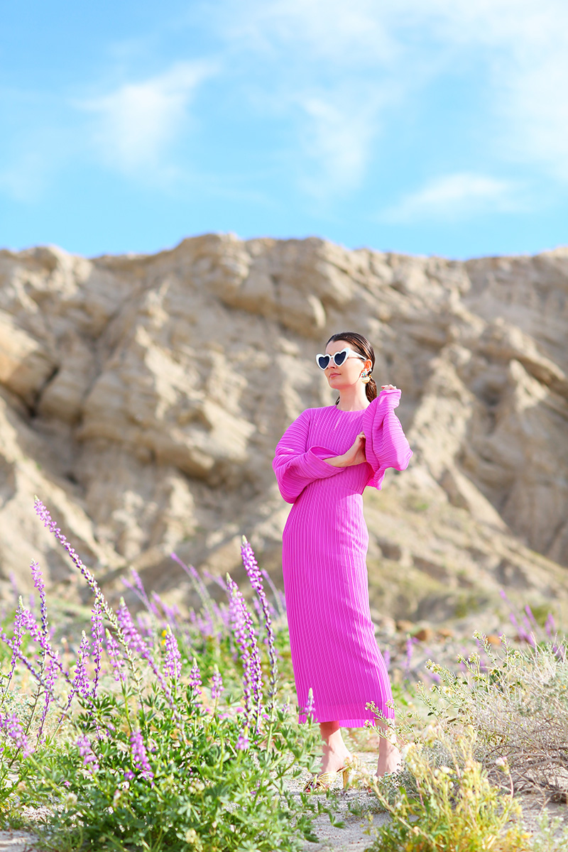 Solace London Dress in Anza-Borrego for the Super Bloom | Kelly Golightly