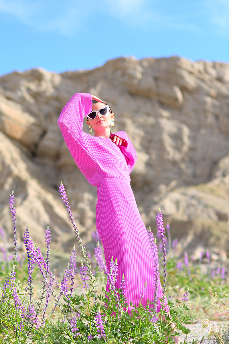 Solace London Batwing Dress in Anza-Borrego for the Super Bloom | Kelly Golightly
