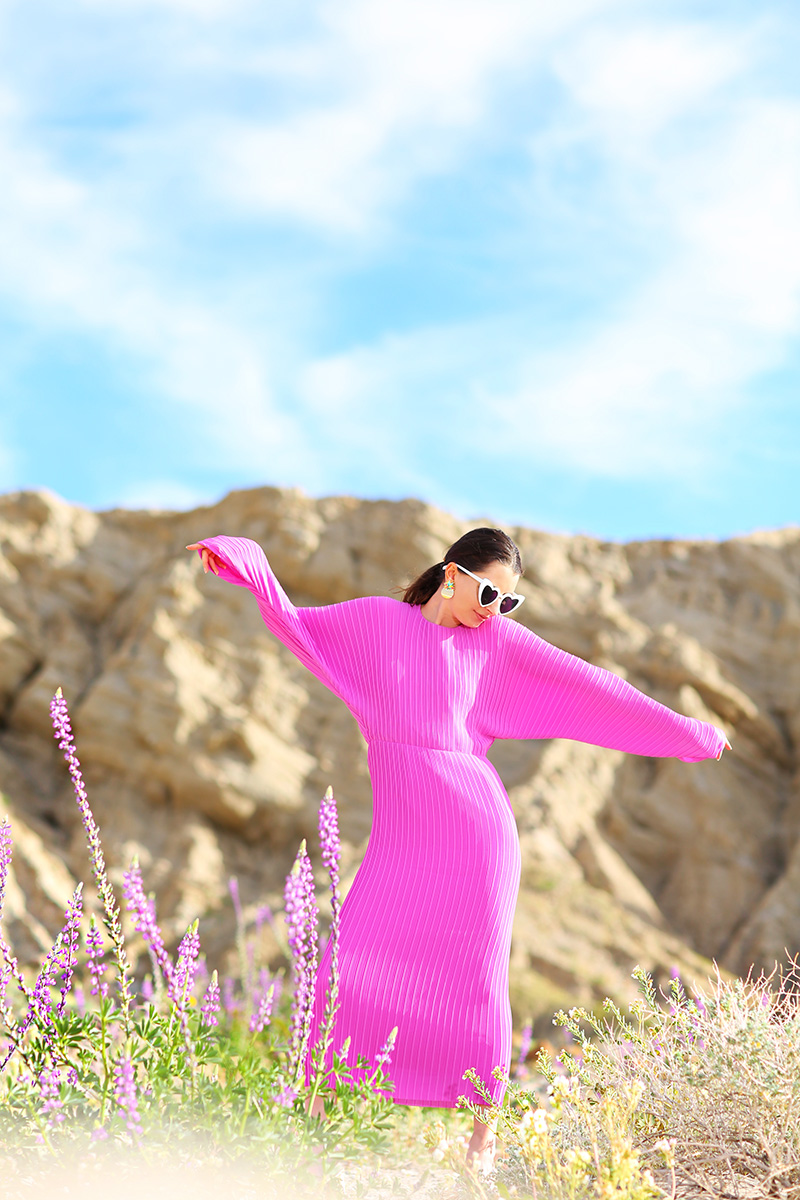 Solace London Dress in Anza-Borrego for the Super Bloom | Kelly Golightly