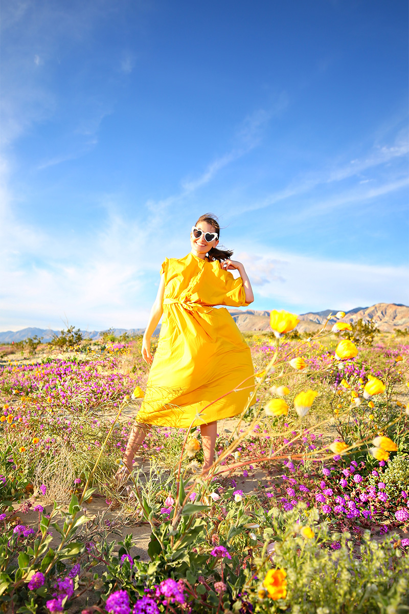 WHERE TO SEE THE SUPER BLOOM IN SO...