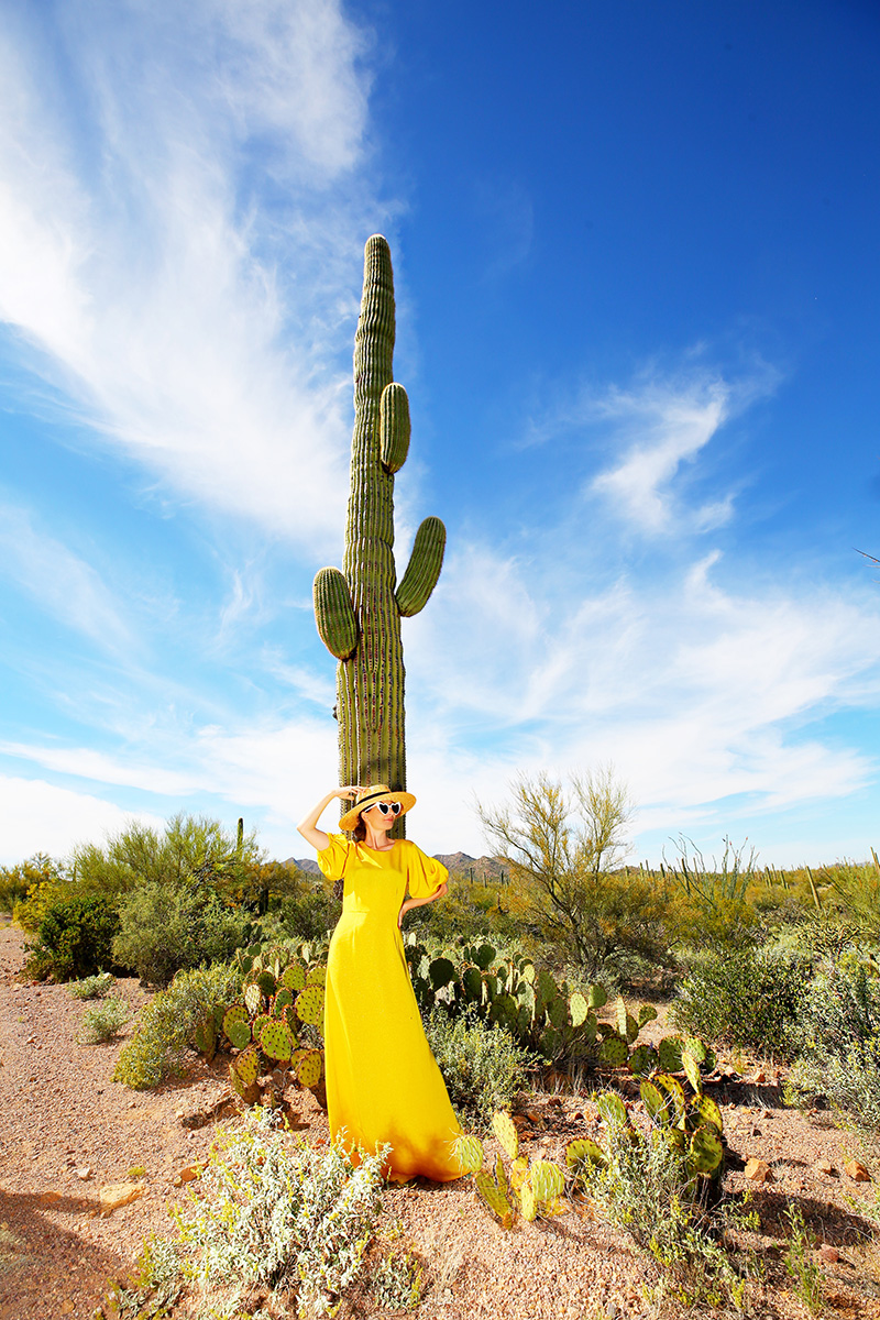 Saguaro Cactus in Arizona | Kelly Golightly